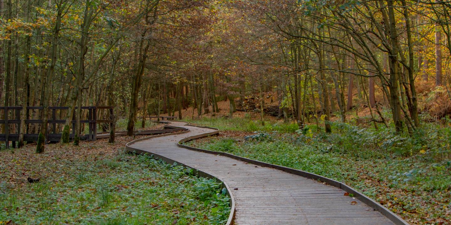 The best place for beautiful boardwalks recycled plastic boardwalk